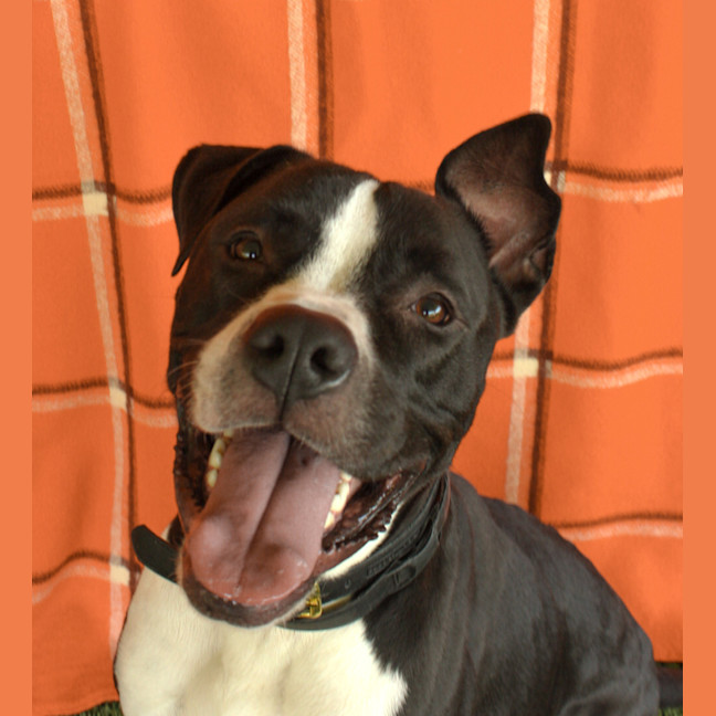 Photo of Heimi