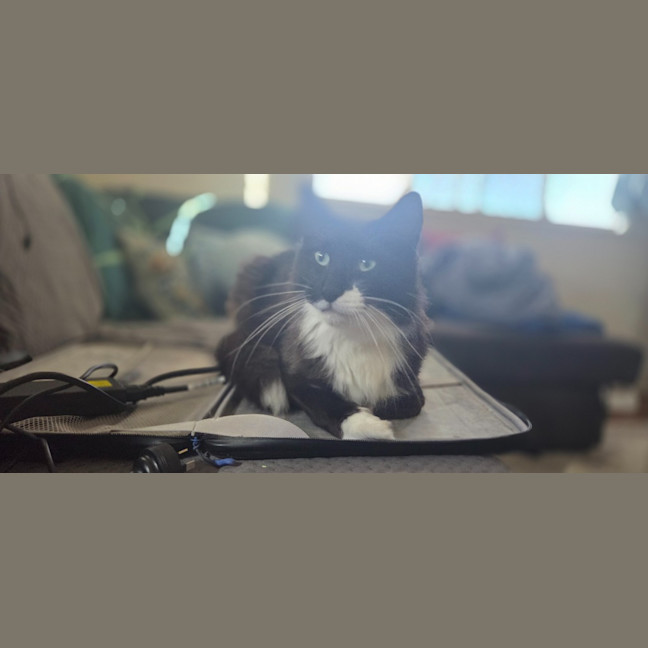 Photo of Winston