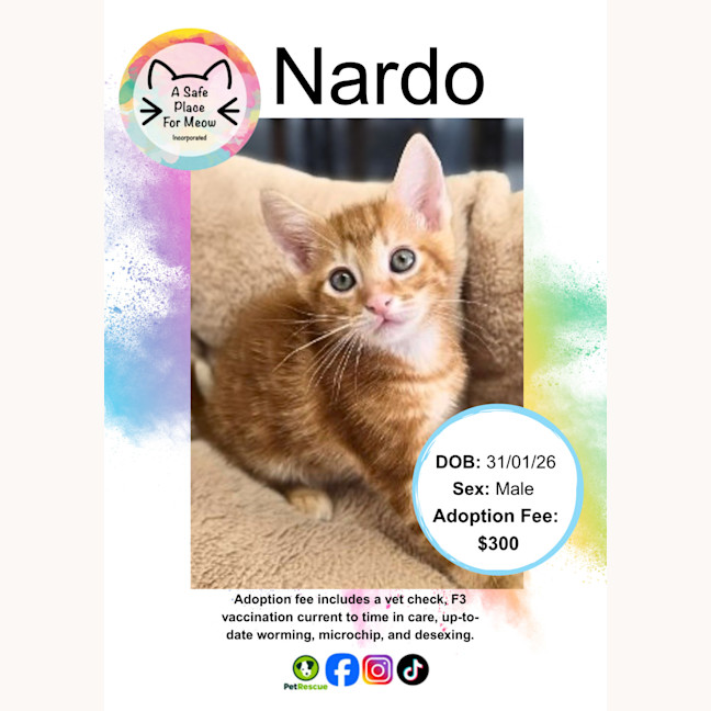 Photo of Nardo