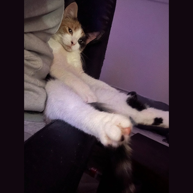 Photo of Maya & Morgan🌻🌼