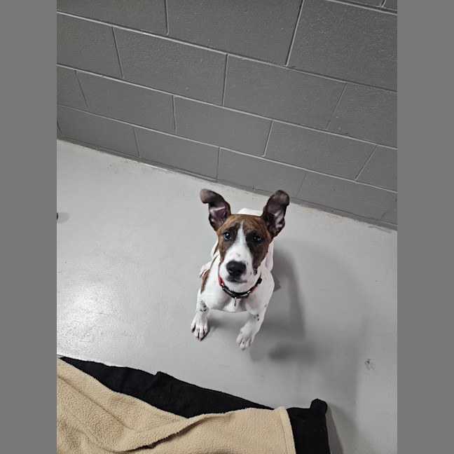 Photo of Maggie