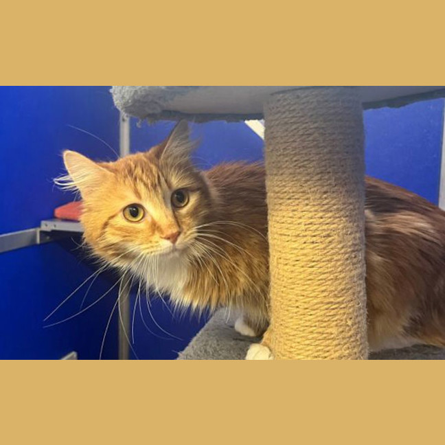 Photo of Mimi