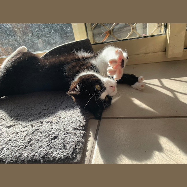 Photo of Maggie