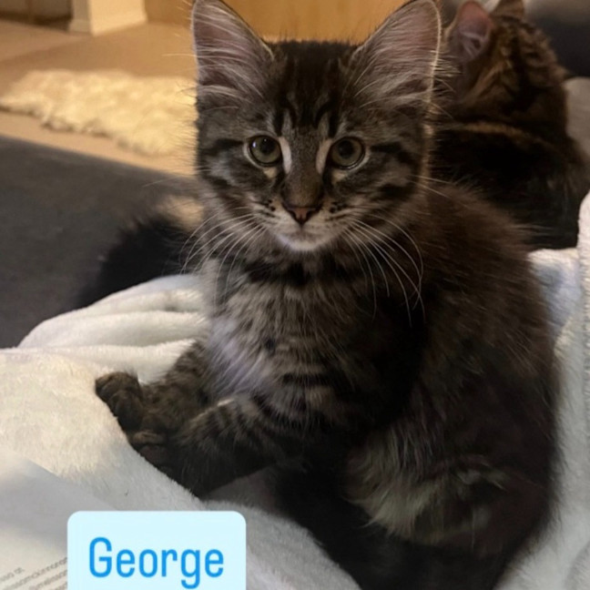 Photo of George