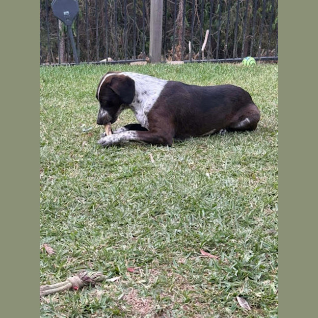 Photo of Hershey