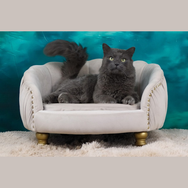 Photo of Franklyn
