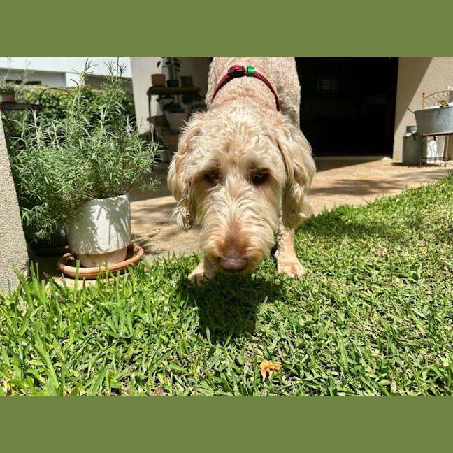 Photo of Marshall Uffelman