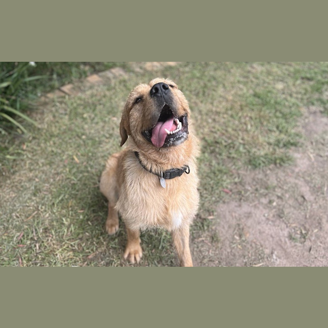 Photo of Kirby