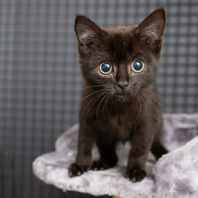 Photo of Wednesday