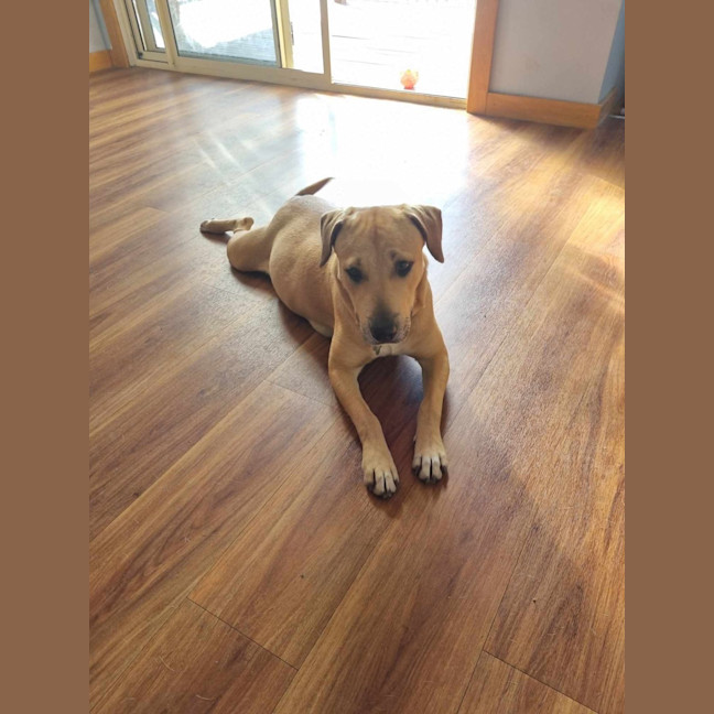 Photo of Nellie