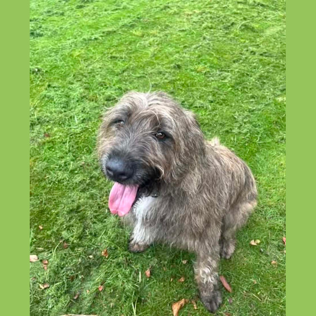 Photo of Murphy