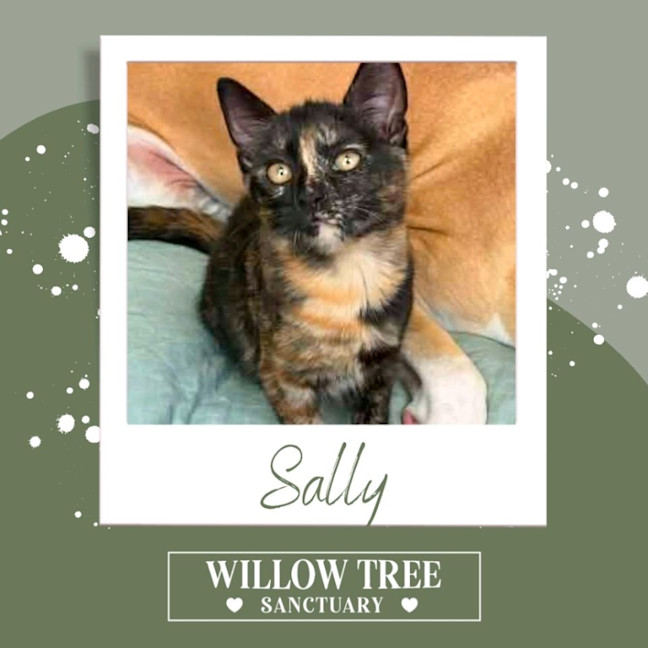 Photo of Sally