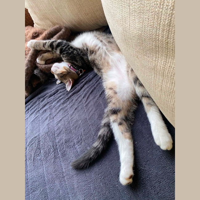Photo of Riggs