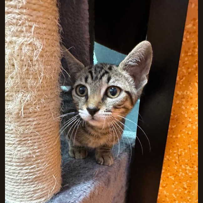 Photo of Maggie