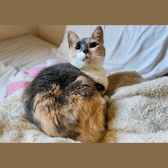 Photo of Katie