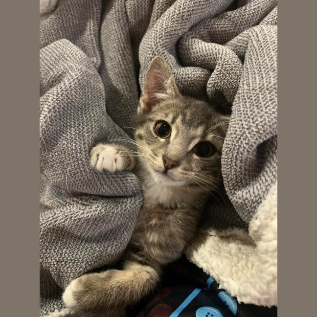 Photo of Lilo