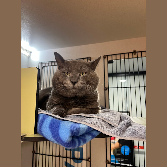 Photo of Luther