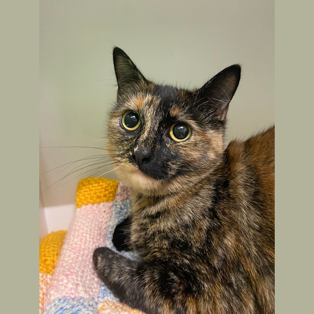Photo of Kiki