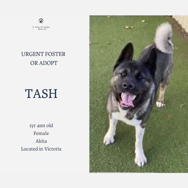 Photo of Tash