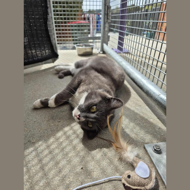 Photo of Mary! 🕊️