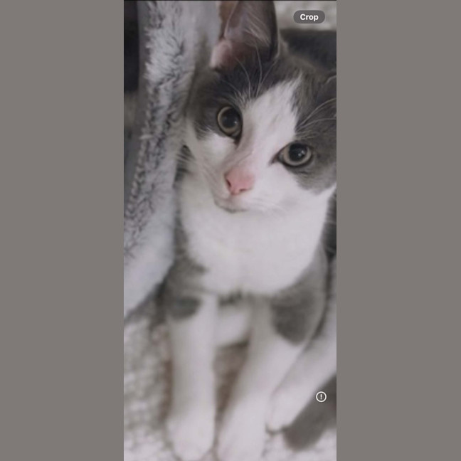 Photo of Oliver