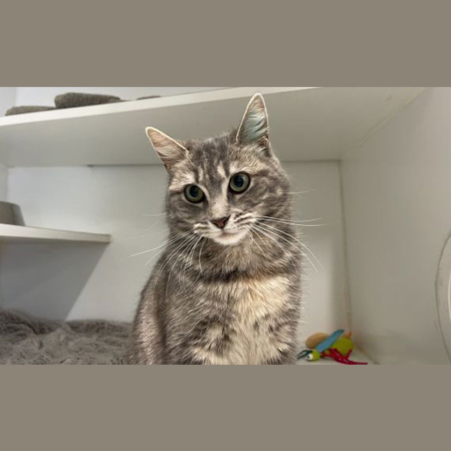 Photo of Maggie
