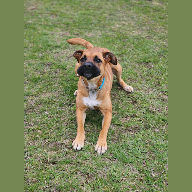 Photo of 🌹 Rose 6167 🌹