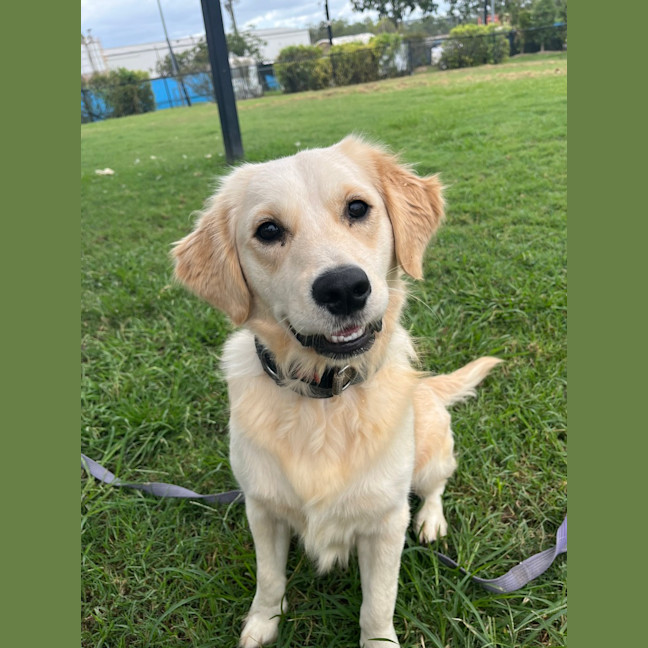 Photo of Bentley