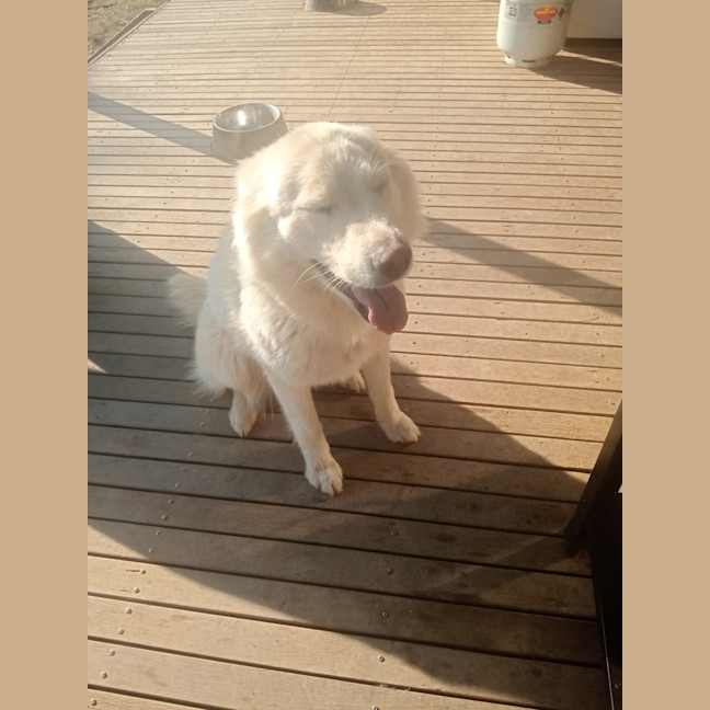 Photo of Holly
