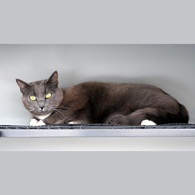 Photo of Tuna Rsta012365