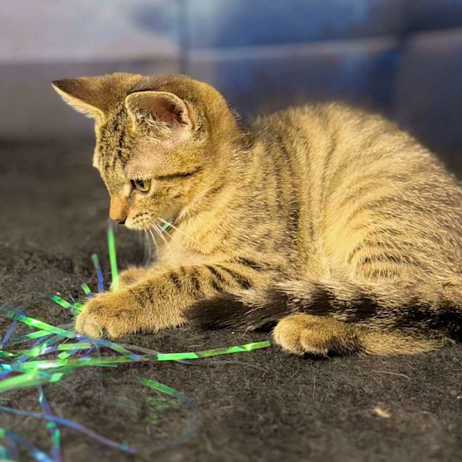 Photo of Anarchy   Located In Preston