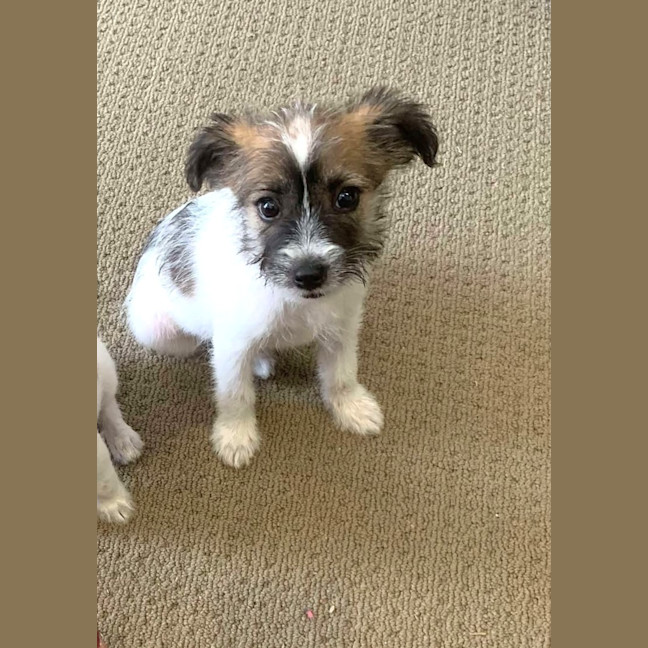 Photo of Messiah Muddle