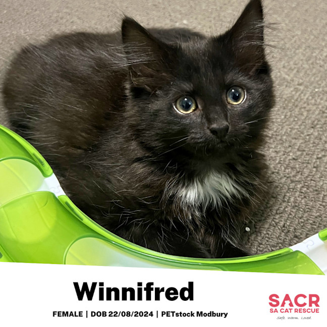 Photo of Winnifred