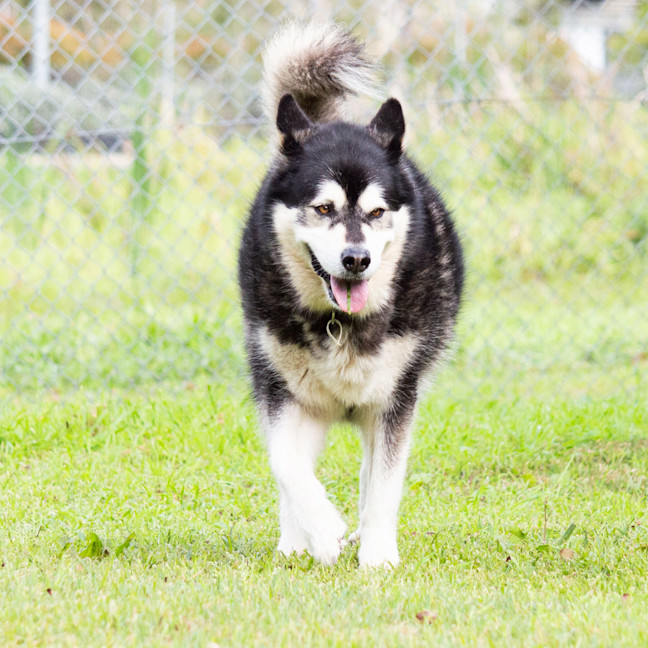 Photo of Cardie