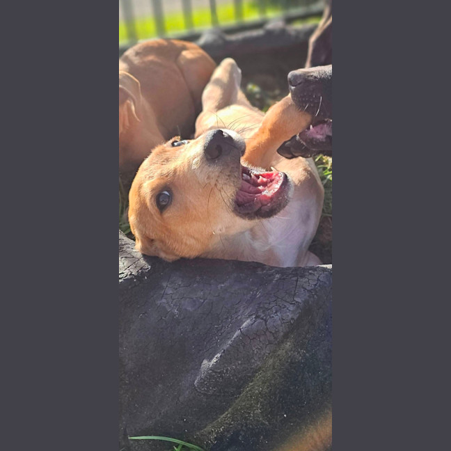 Photo of Statler