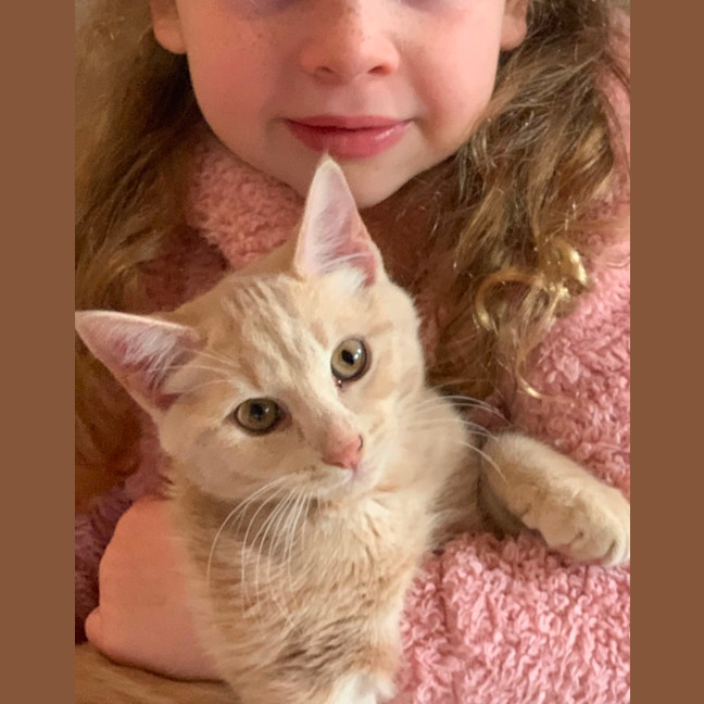 Photo of Carter 😸🧡🐈😽