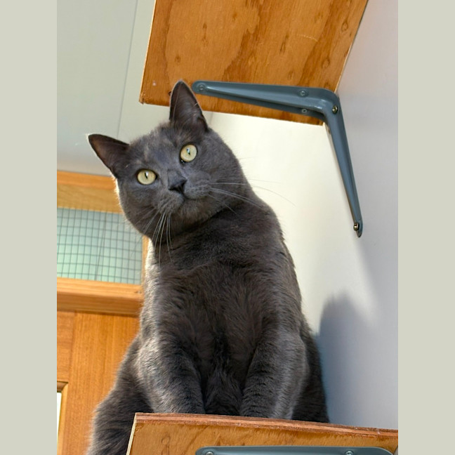 Photo of Norbert