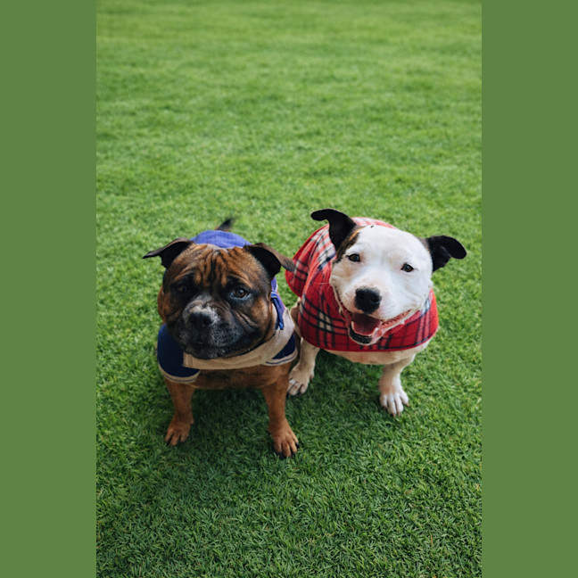 Photo of Bambino And Sammi 