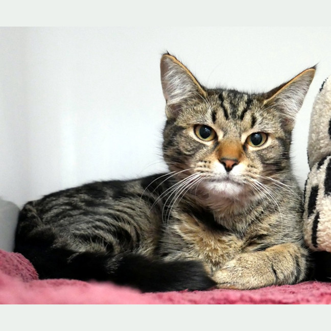 Photo of Oliver Suk015580