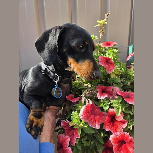 Photo of Mia