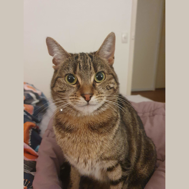 Photo of Dee