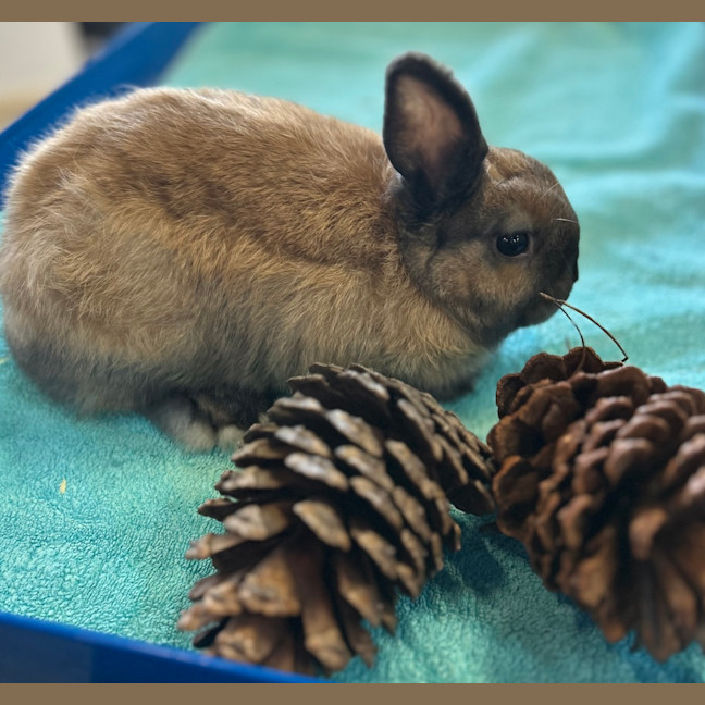 Photo of Wilbun