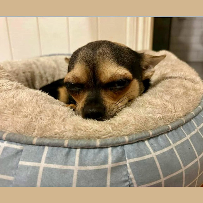 Photo of Beanz And Leo