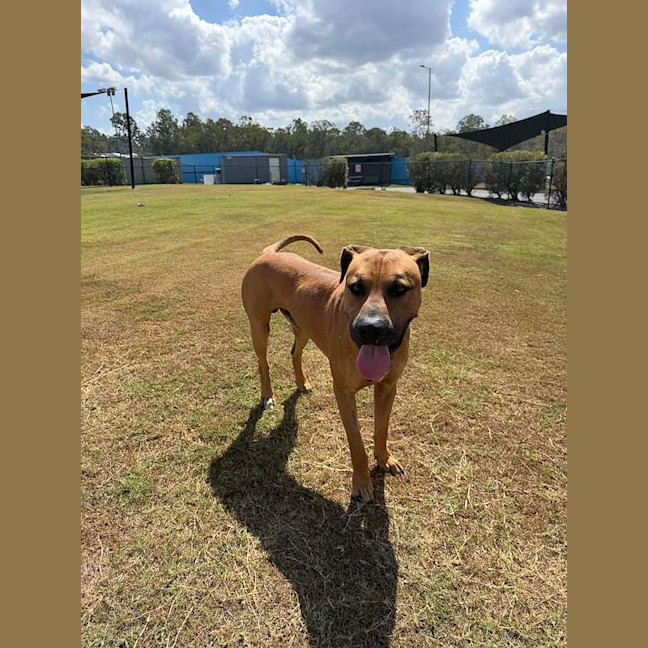 Photo of Maynard