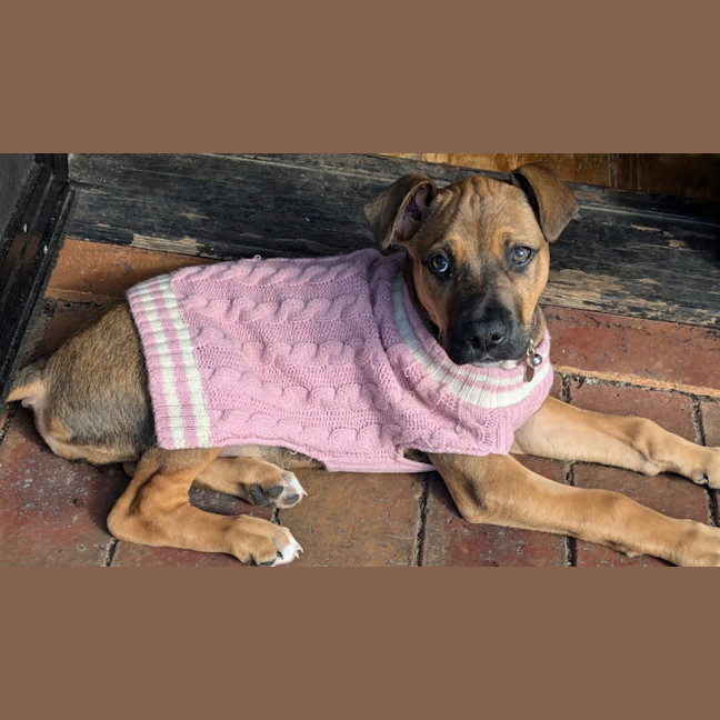 Photo of Matilda