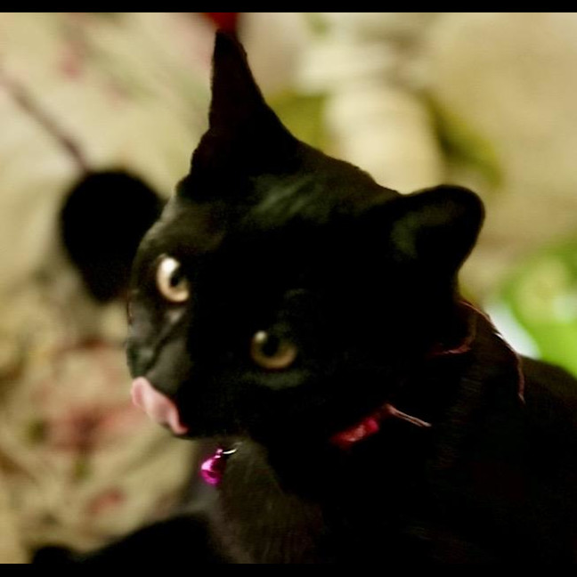 Photo of Monti Clarke