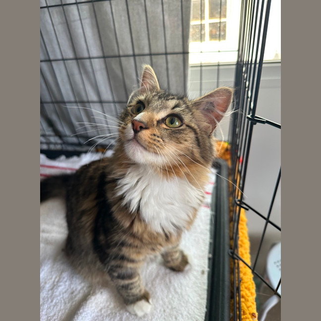 Photo of Salami & Pepperoni 