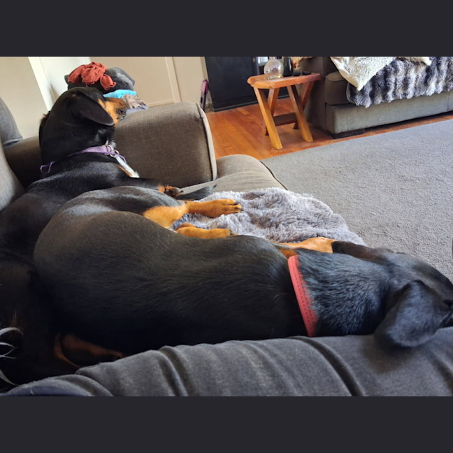 Photo of Sargent And Major