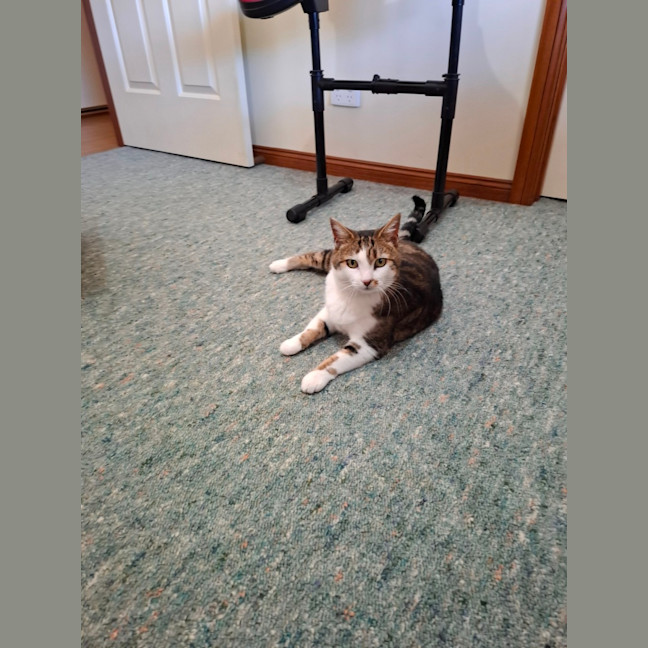 Photo of Little Girl