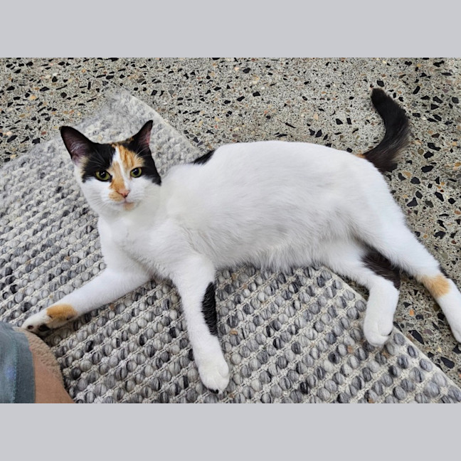 Photo of Mitzi
